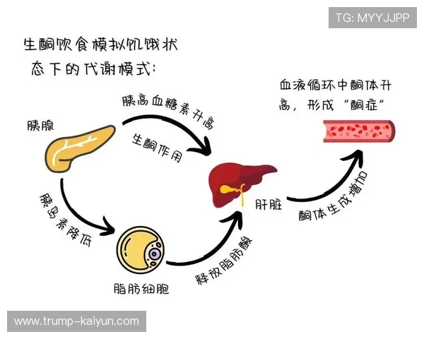 生酮饮食潜在风险及副作用全面预警指南