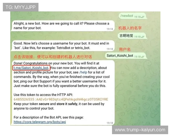 最新Python电报机器人开发教程与实战技巧分享